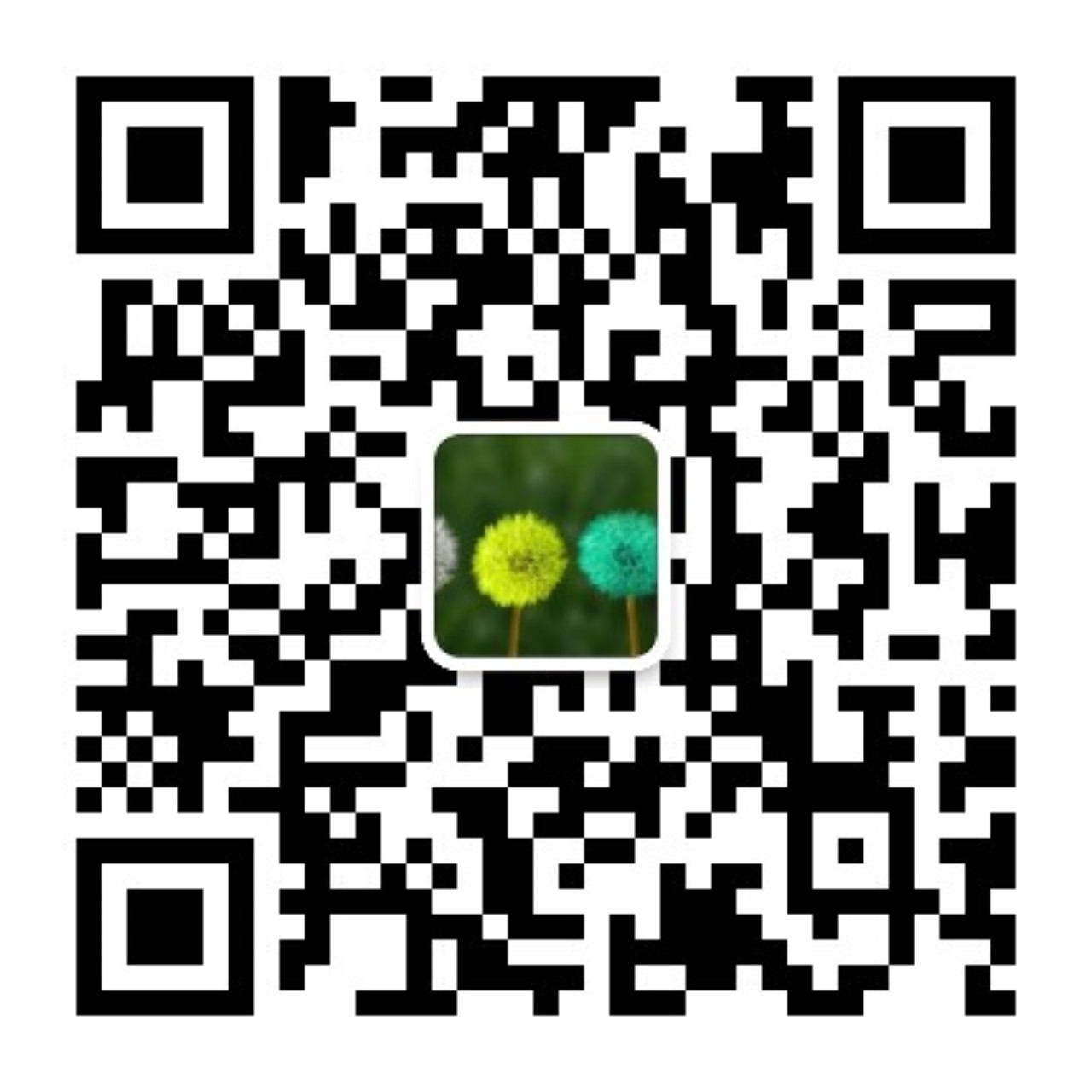 青浥舍公众号二维码